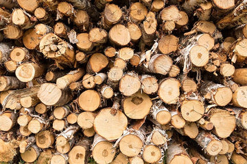 Why Choose Wood Tables and Furniture